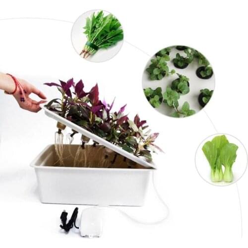 6 Holes 110V Garden Plant Site Hydroponic Garden Pots Planters System Indoor Cabinet Box Grow Kit Bubble Nursery Pots