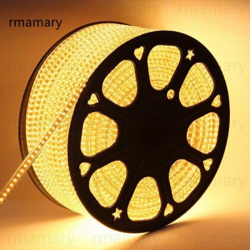 LED Strips 100meter 4plug 3014 strip 120led/Meter Christmas AC220V IP67 waterproof outdoor garden light white/warm white/blue