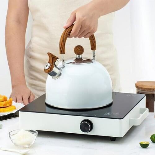 Stainless Steel Boil Water Kettle Folding handle Hemispherical White 2.5L Whistle Pot Induction Cooker Household Kitchen Supplie