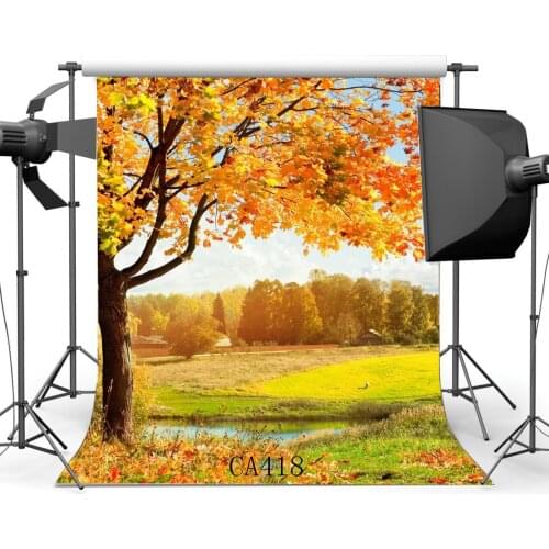 Photography Backdrop Rural Forest Trees Grass Field Fall Leaves Nature Autumn Scene Portraits Background Photo Studio
