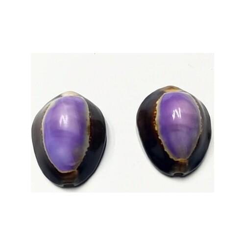 Natural conch shell 3 cm purple treasure snail fish tank aquarium micro landscape landscaping decoration wall sticker platform