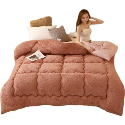 New Thermal Lamb Double-Faced Velvet Quilt Wool Thicken Super Warm Winter Comforter Spring Autumn Blanket Double Comforter