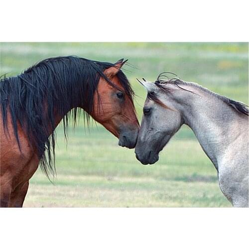 Wall Poster Running Horses Black White Horse Animals Abstract Oil Painting On Canvas Living Room Wall Art Home Decor Cuadros