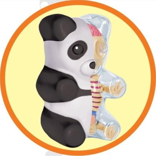 4D master puzzle assembly toy can assemble small gummy bear anatomical panda models