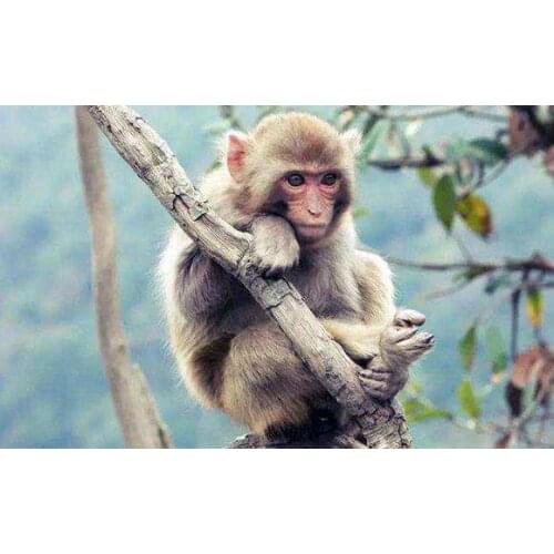 Simple Dimple Fidget Toy Stress Ball Sensory ABS Silicone Early SK-2021-5-11-1