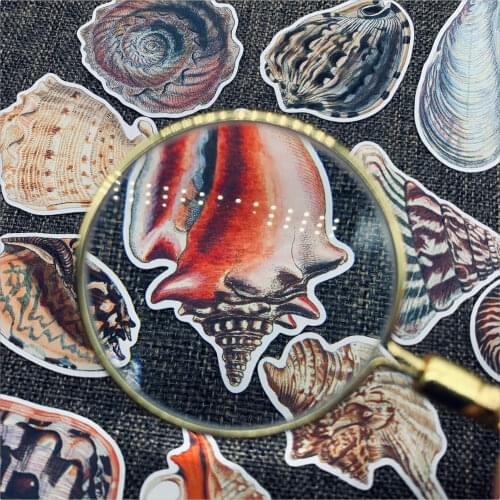 28pcs TN stickers bullet journal vintage scrapbooking marine organism shell SeaSnail Cute sticker aesthetic adesiv art supplies