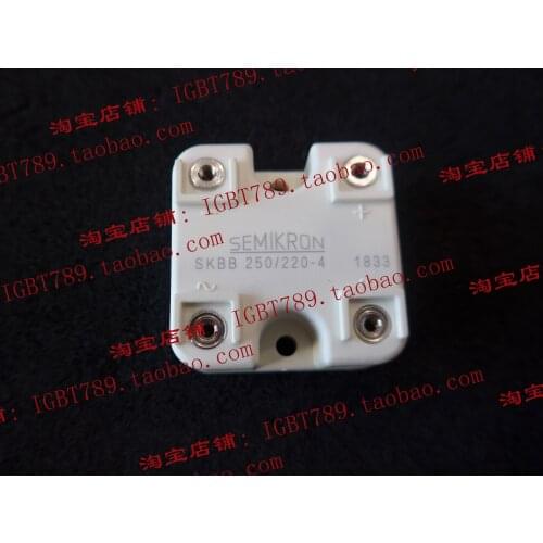 SKBB250/220-4 SKBB500/445-4 SKBAB500/445-4 SKBAB500/445-2.5 FREE SHIPPING NEW AND ORIGINAL MODULE