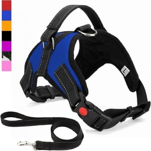 No Pull Dog Harness Breathable Adjustable Comfort Free Leash Included for Small Medium Large Dog Best for Training Walking