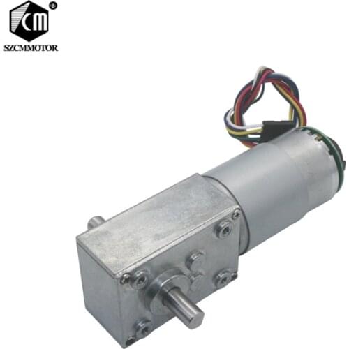 DC 12v 24v Turbo Speed Reducer Worm Geared Motor Dual Shafts High Torque 11PPR Encoder Worm Gear Motor