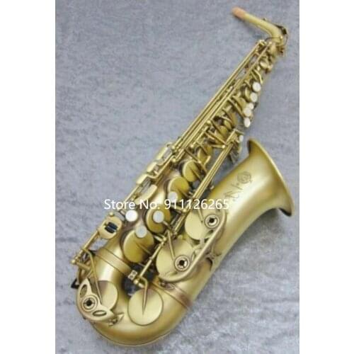 Reference Alto Saxophone Antique brushed satin finish 54 Blue Saxophone Gold key with Accessories
