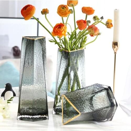 Nordic home decoration Creative gold rim Shaped glass vase minimalist transparent vase living room decoration water culture vase