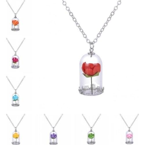 Bohemia Classical Glass Vial Necklace Prince Rose Necklace pendants Retro Crystal Natural Dried Flowers Necklace For Mom family