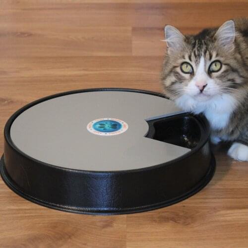 Automatic Mama Bowl Cat, Dog Set Up Time-Black Color, Pet Practical Help, Quality, Trend, 6 Compartments