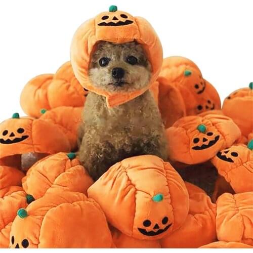 New pet halloween pumpkin hat funny for dog and cat cosplay headgear used for teddy dog puppy and kitten festive event headgear
