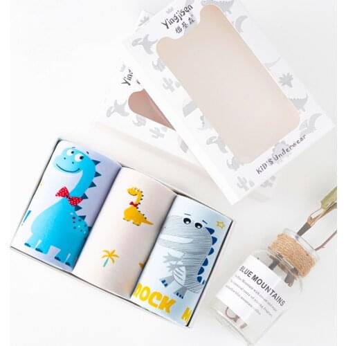 5pcs/set Dinosaur Panties for Boys Underwear Boys Thong for Kids Thong Underwear Children Teenage Boy Panties Cotton 4-14Y