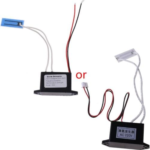 AC 220V/12V DIY Home Ozone Generator Air Purifier Deodorant Output Density 200mg/H O3