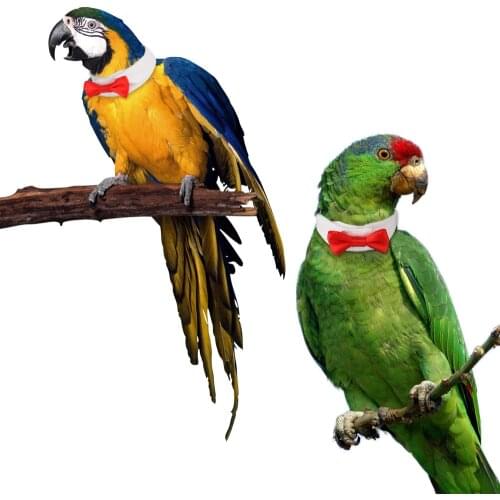 Cute Neck Bow Tie Collar Parrot Bird Clothes Handmade Costume Tie Small Middle Bird Grooming Adjustable Decorate Accessories