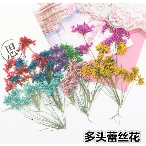 Multi-headed Lace Flower Snow Bead Embossed Dried Flower DIY Handmade Glue Hand Material