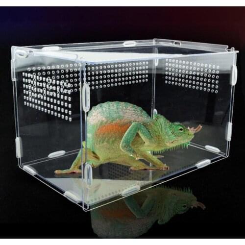 L/M/S Size Reptile Breeding Box Acrylic Feeding Box For Spider Lizard Frog Cricket Turtle Transparent Breeding Incubator Boxes