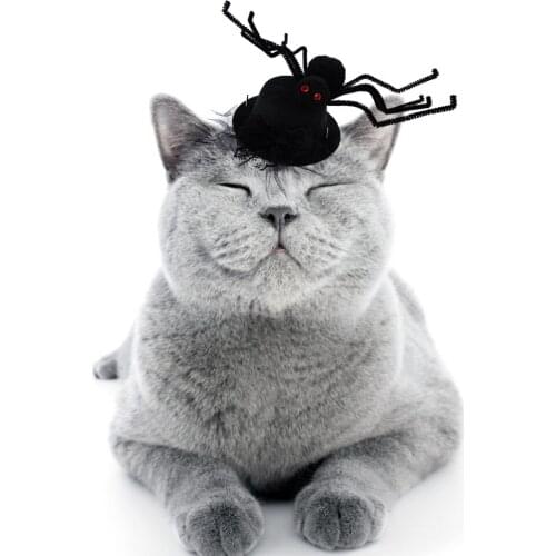 Halloween Pet Clothing Accessories Funny Spider Cap Decorative Spider Dog Party Hat Pet Costume Hat For Cats Dogs Pet Dress Up