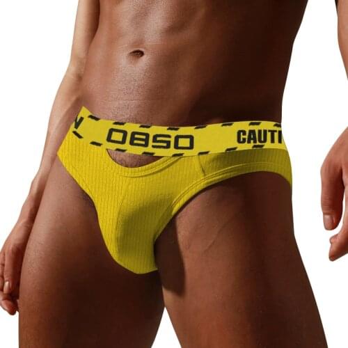 0850 Brand Sexy Men Underwear Cotton Brief New Low Waist Mens Briefs Slip Gay Cueca Bikini Man Underware Hollow Out BS3103