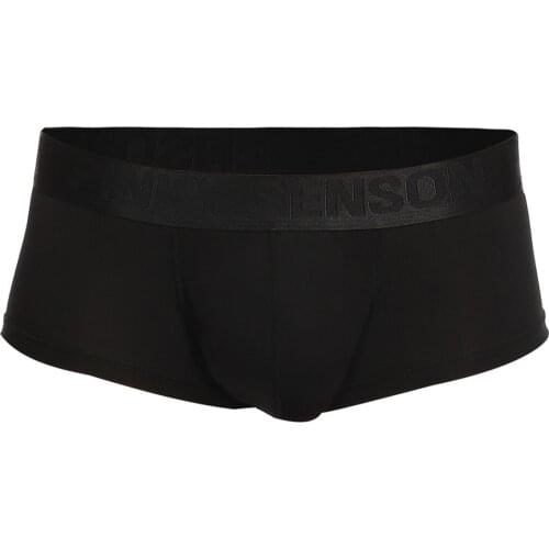 Sexy Men Underwear Ultra-thin Boxer Solid Color Breathable Shorts Pouch hero Brave Men Underpants Underwear boxer para hombre