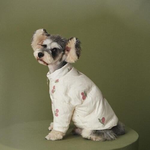 New Arrive Winter Pet Dog Down Jacket Clothes For Small Dogs Puppy Cat Costumes French Bulldog cute two-legged outfit