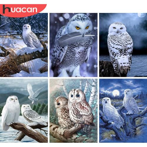 HUACAN Full Drill Diamond Painting 5D Owl DIY Diamond Art Embroidery Animal New Arrival Mosaic Home Decor Sale