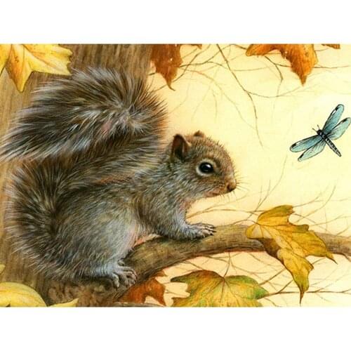5D DIY Home Decoration Home Decorations Squirrel