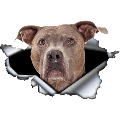 B0108# Removable Self-adhesive Decal Pitbull Dog Cute Pet Car Sticker Waterproof Auto Decors on Bumper Rear Window Laptop Home