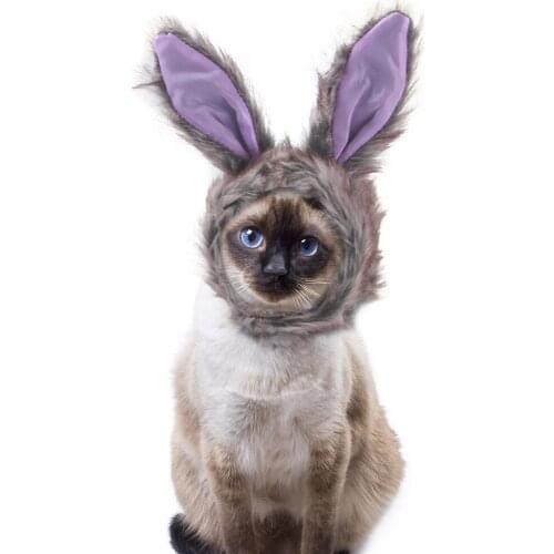 2021 Grey Rabbit Ears Pet Hair Accessories Hat Teddy Dress Up Funny Headdress Cat Headgear Products Fleece Plush Party Faux Fur