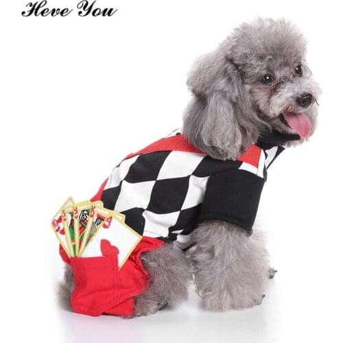 Heve You Clothes Plaid Winter Dog Coats Jumpsuits Funny Magician Sets for Small Dogs Costume Grooming Cats Pajamas Pet Clothes