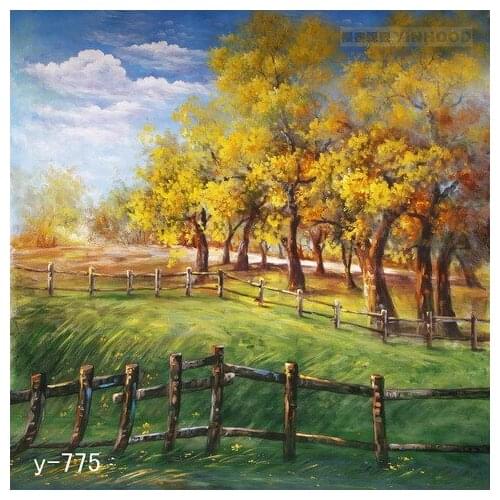 Free shipping Mysterious scenic Backdrop y-775,10ft x20ft Hand Painted Photography Background,backgrounds for photo studio