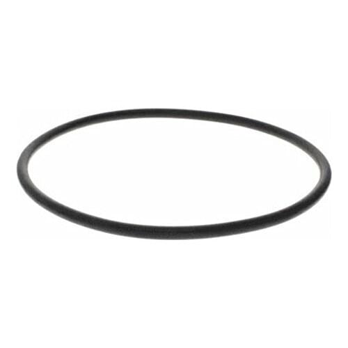 Carpigiani IC541000195 O-RING 7 168,3 NB 60 229 5PK