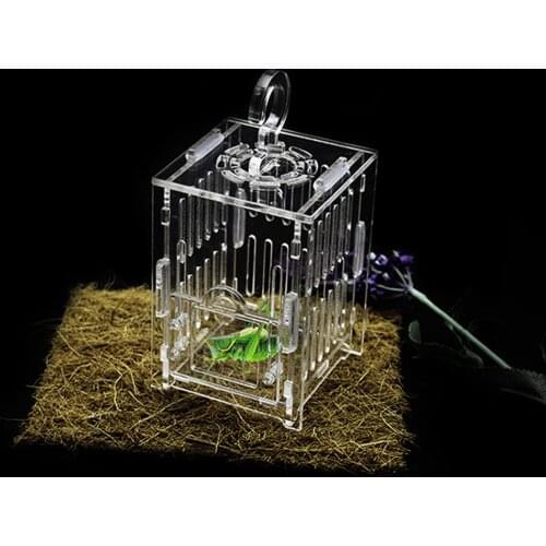 Durable Acrylic Small Insect Cage Grasshopper Feeding Cricket Cage Indoor Toy