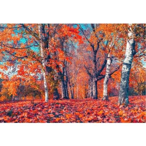 Autumn Flaming Maple Forest Landscape Backdrop Holiday Photography Background Celebration Photo Booth Studio Decor