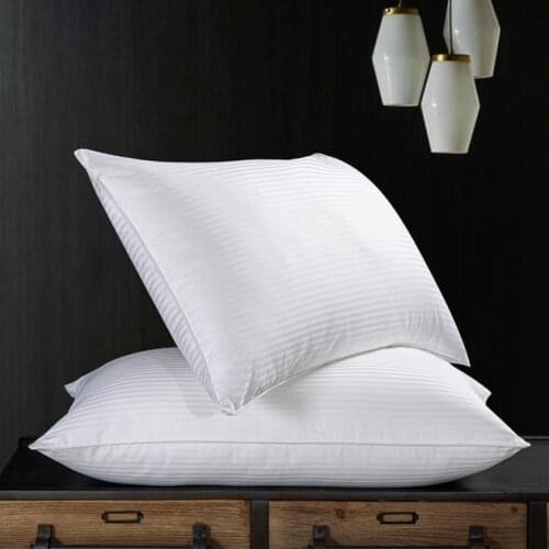 2pcs pillow