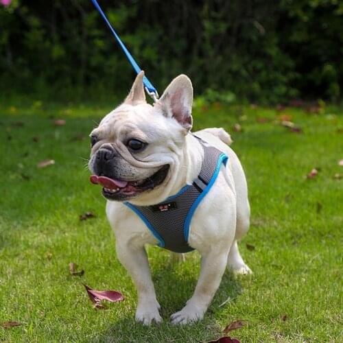 Reflective Nylon Pet Dog Harness Dog Chest Harness Breathable Dogs Padded Vests Adjustable Chest Strap Safety Lead All Weathers