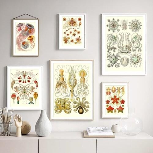 Haeckel Jellyfish Octopus Wall Vintage Marine Art Canvas Painting Nordic Posters And Prints Wall Pictures For Living Room Decor