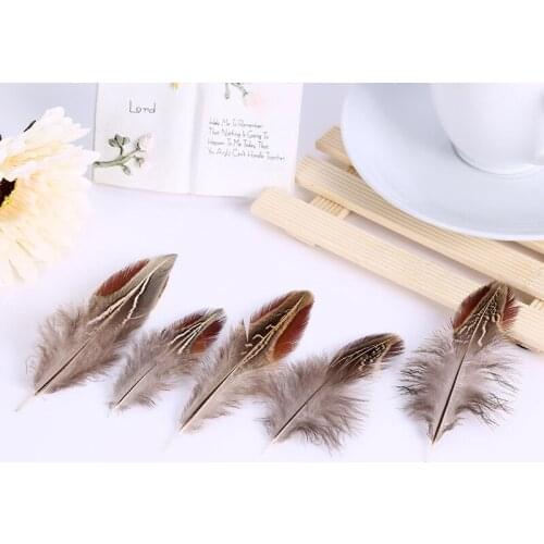 Natural Pheasant Plumes 2-4 Inches 5-10cm Beautiful Feathers Plume DIY Craft Wedding Decorative Jewelry Making Accessories 50pcs