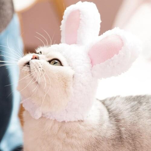 Cat Hat dog white rabbit cute warm and comfortable cotton wool small and medium sized dog headgear adjustable in autumn and