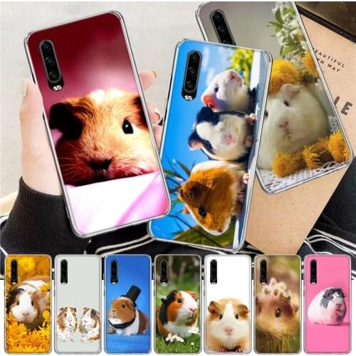 Футляры для телефонов OEING China At AliExpress