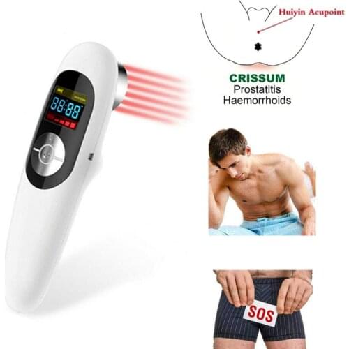 Prostate Treatment Muscle Stimulator 650nm 808nm Laser Acupuncture Pain Therapy Machine for People and animals