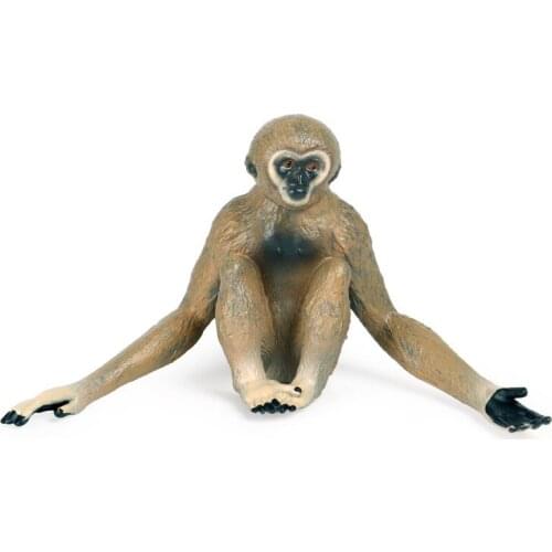 Simulation Gibbon Figure Collectible Toys Solid Wild Animal Action Figures Kids Toy