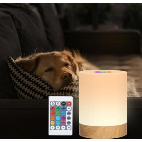USB Rechargeable Touching Control Bedside LED Light Dimmable Table Lamp Warm White RGB Night Light For Kids Living Room Bedroom