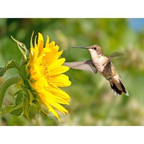 Flower Sunflower Printed 11CT Cross-Stitch Patterns Embroidery DMC Threads Sewing Handmade Knitting Hobby Needle Mulina