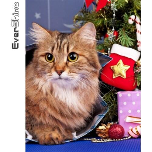Evershine Full Square Diamond Painting Cat Rhinestone Art 5D Diamond Embroidery Animal Cross Stitch Christmas Home Decorations