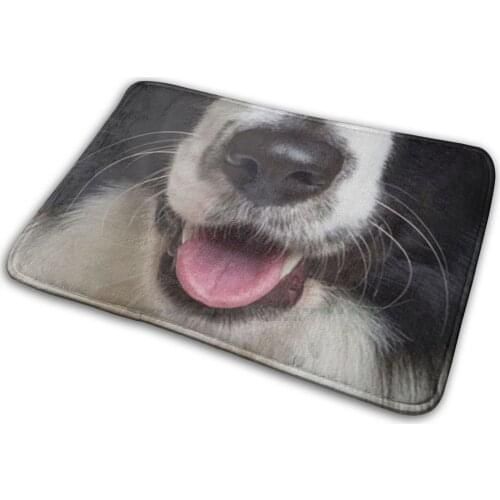 Border Collie Dog Lover Quarantine Face Mat Rug Carpet Anti-Slip Bedroom Entrance Door Mat Animal Border Collie Funny Border