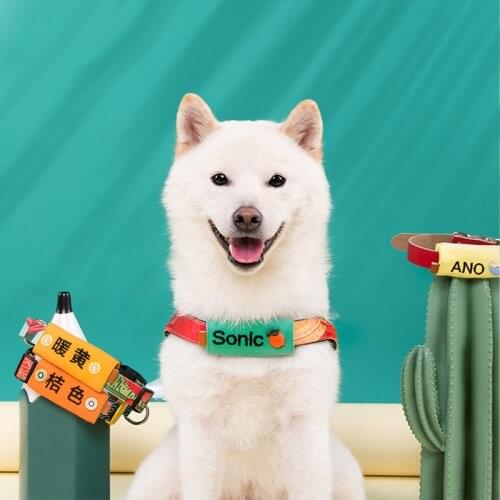 Dog Collars Personalized Embroidery Pet Cat Name Tags Customized Dog Tag Collar Accessories Nameplate Anti-lost Cloth Patch Perr