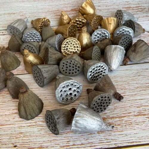 20PCS Decorative Natural Dried Lotus Seedpod Flowers Heads,Real Dry Fruit Small Lotus Seed Pod Flower,Home,Christmas Decoration